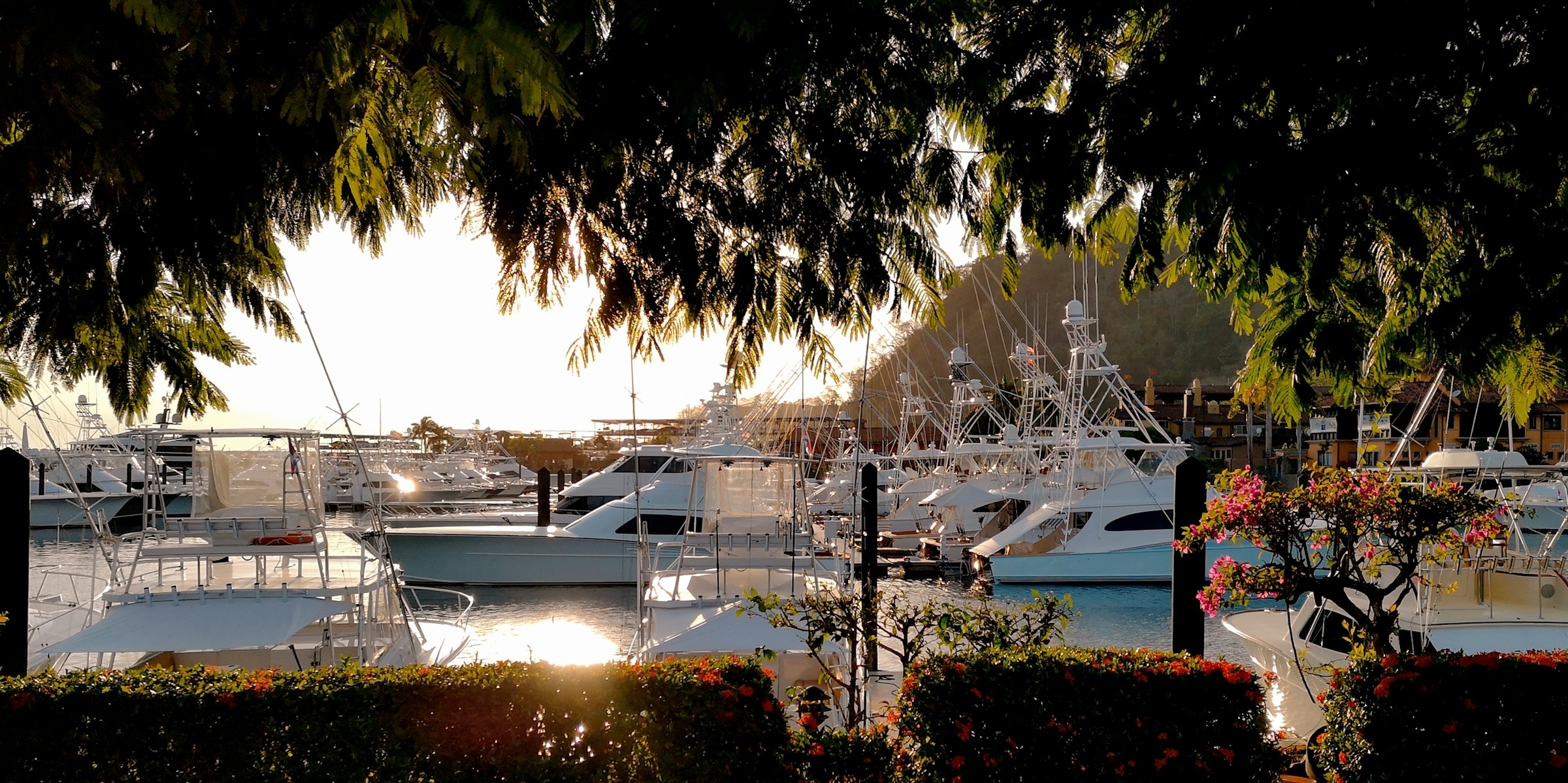 Boats moored at a Memphis marina with the Bluff in the distance